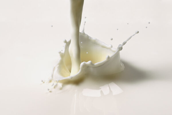 البان ومشتقاتها