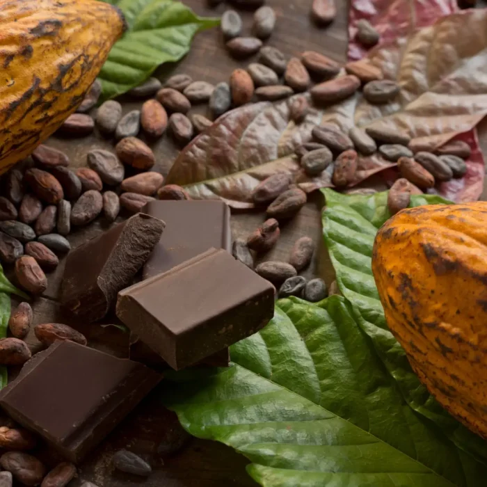 Cocoa composition with two real cacao fruits, cacao leaves, nibs and dark chocolate chunks in the center, showing the different stages of chocolate. Horizontal photography. Top View. Close-up. Studio shot. No people.